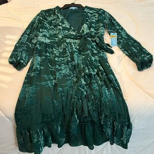 Long Sleeve Velvet Burnout Wrap Dress. Never Worn